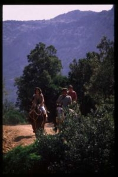 Horse riding in Sardinia